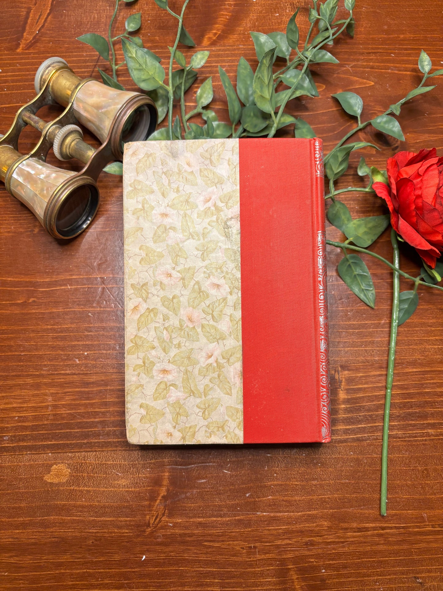 Story of an African Farm -Olive Schreiner c.1883