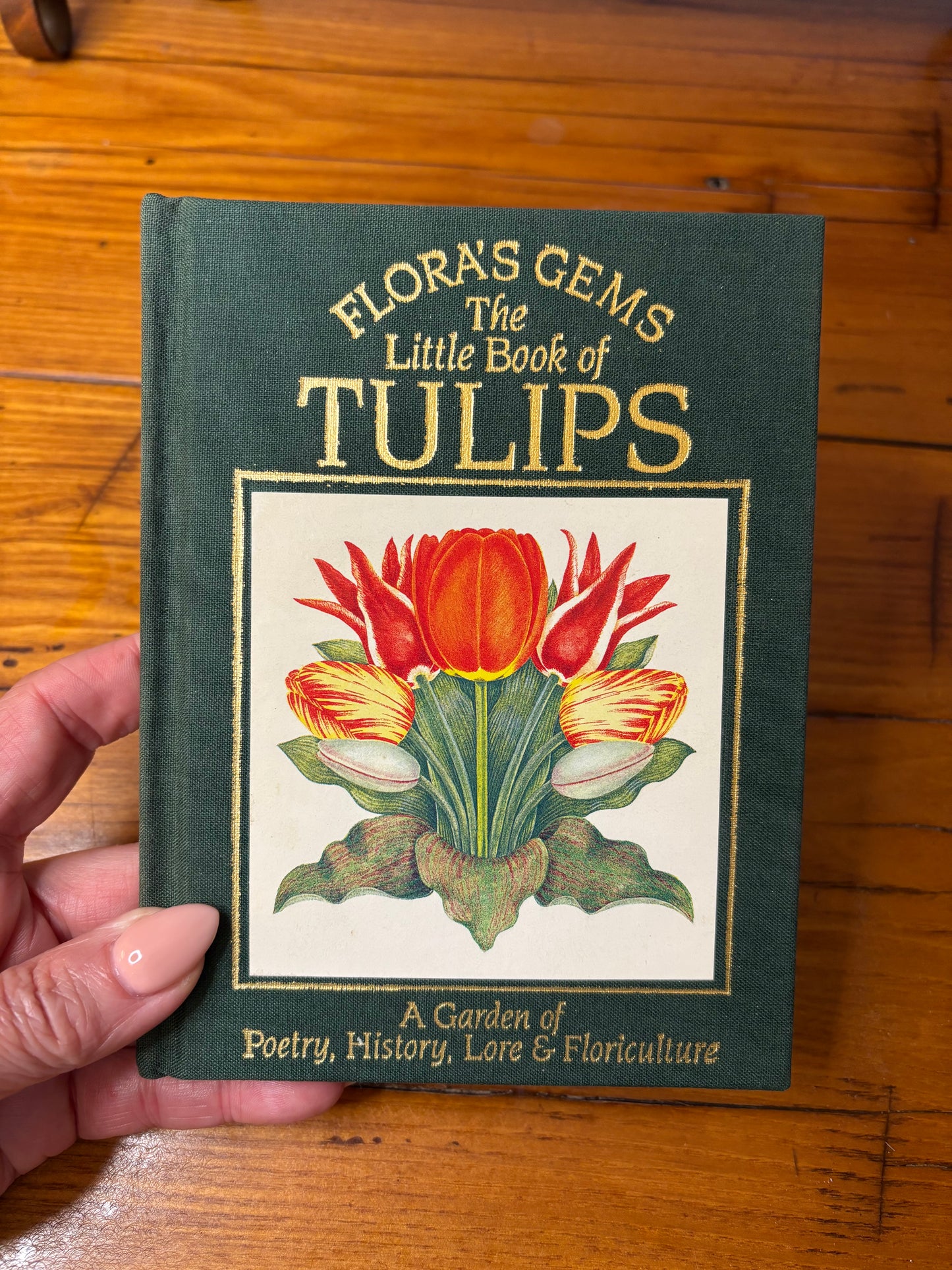 The Little Book of Tulips