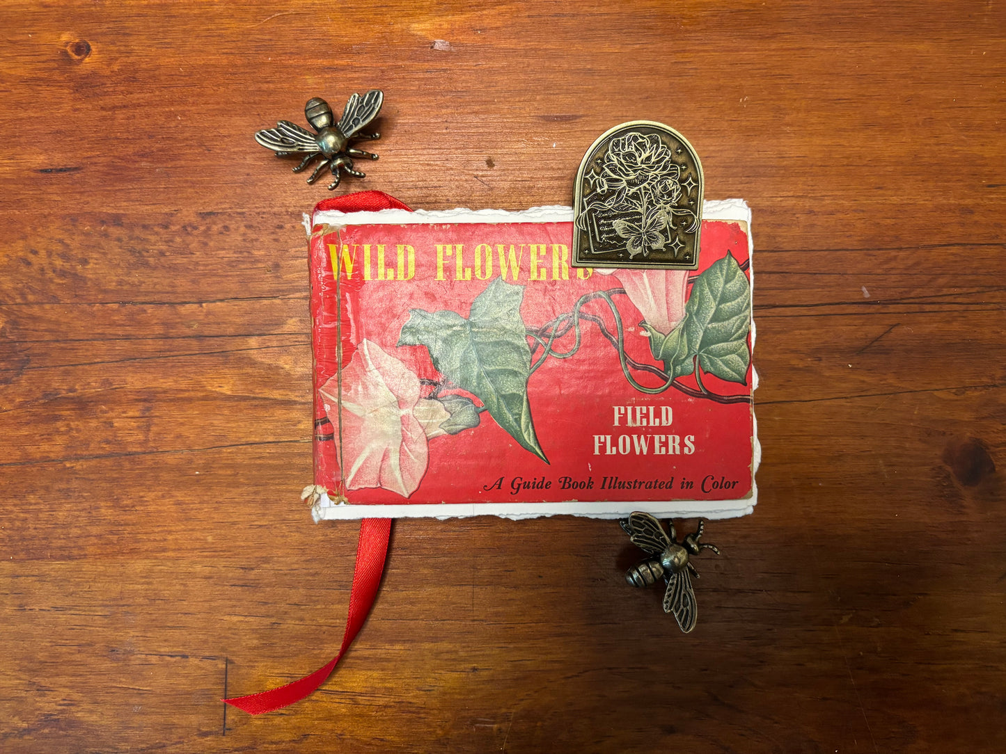A Guide to Wild Flowers -Field Flowers