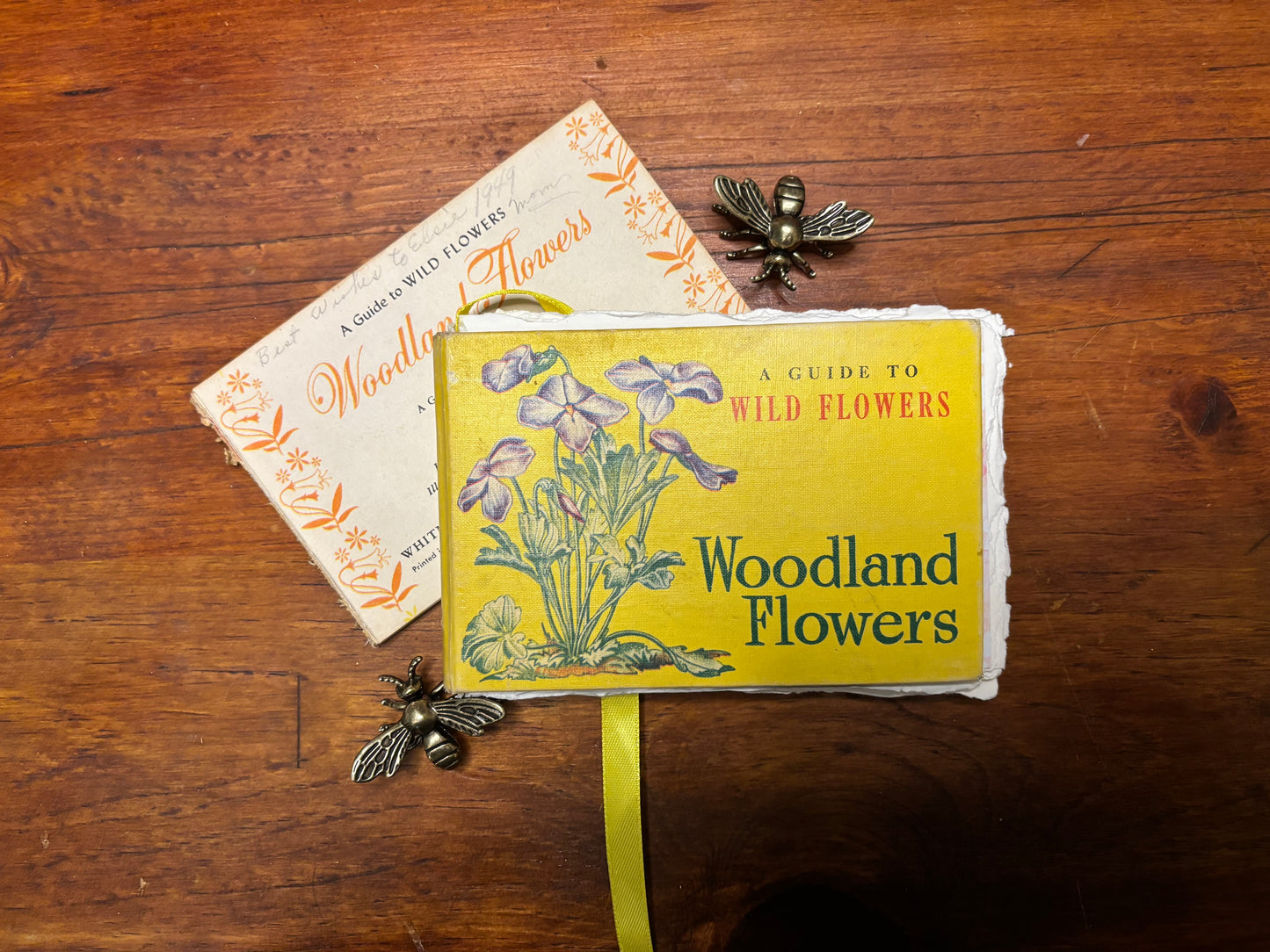 A Guide to Wildflowers -Woodland Flowers