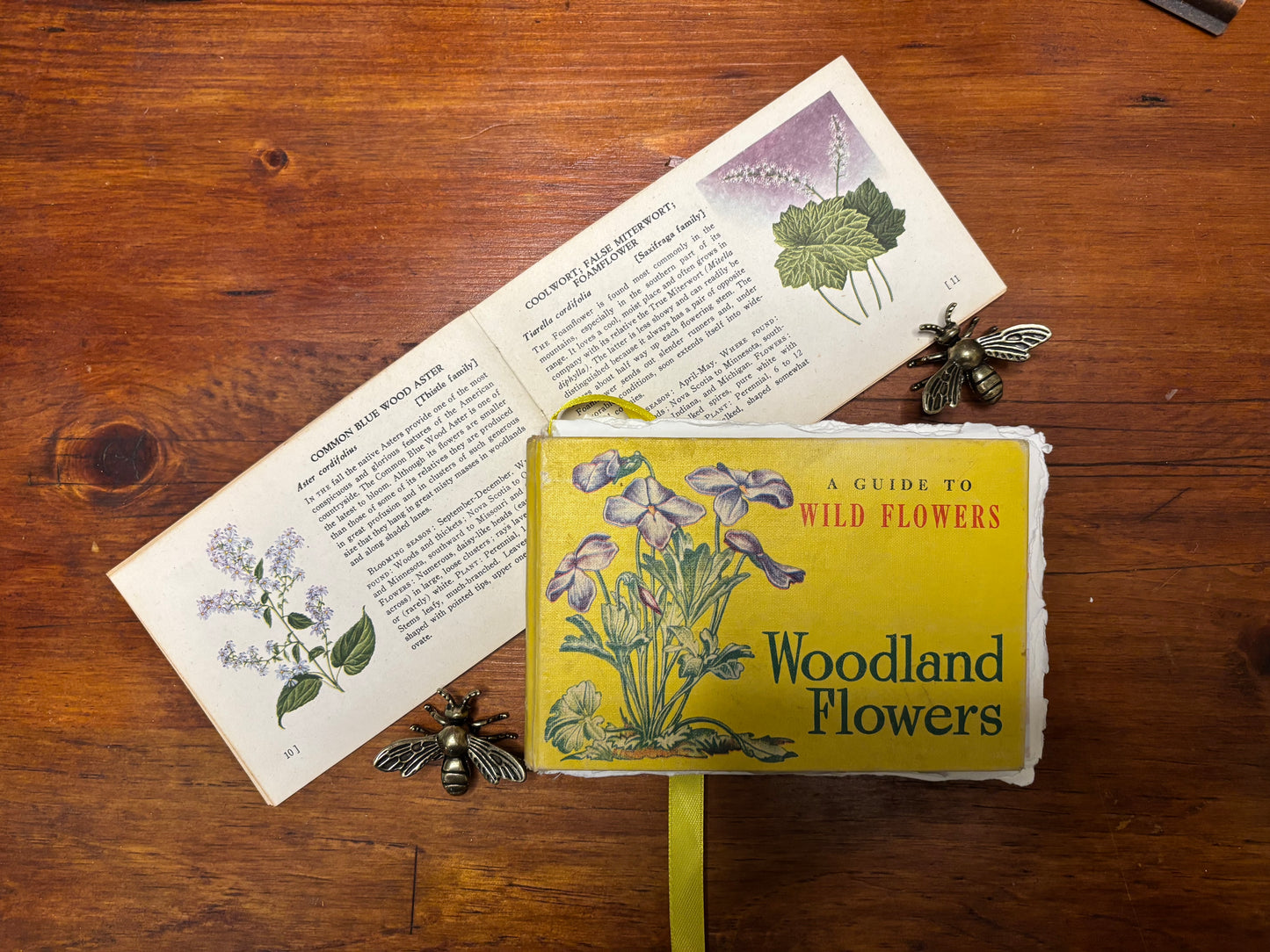 A Guide to Wildflowers -Woodland Flowers