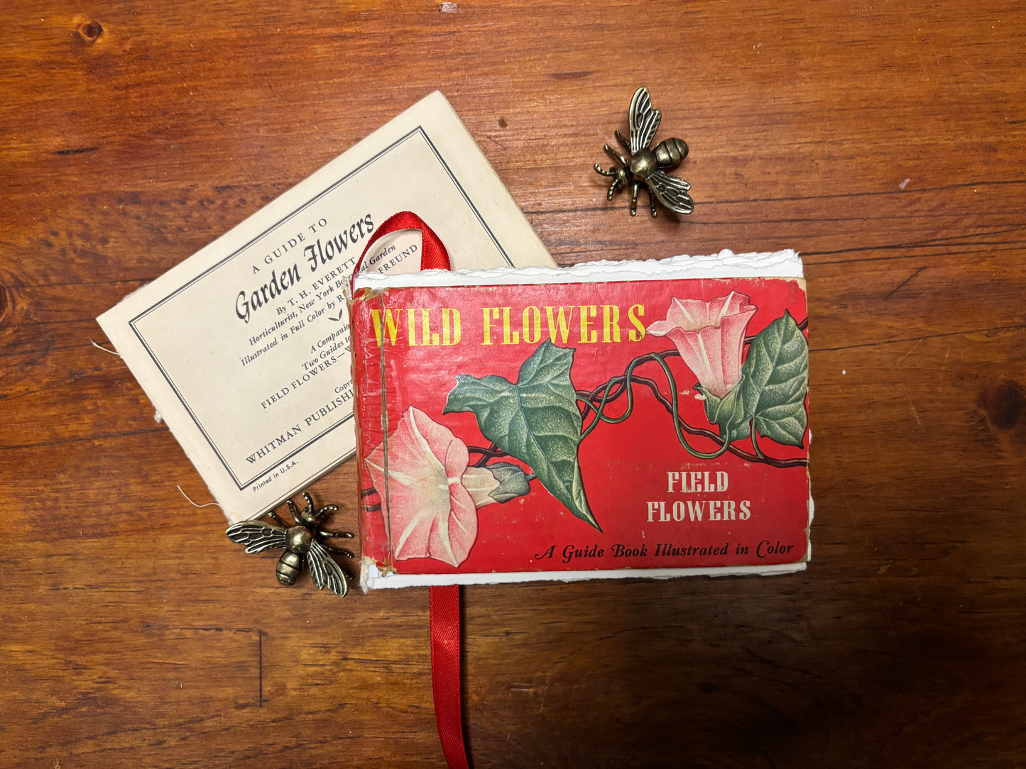 A Guide to Wild Flowers -Field Flowers