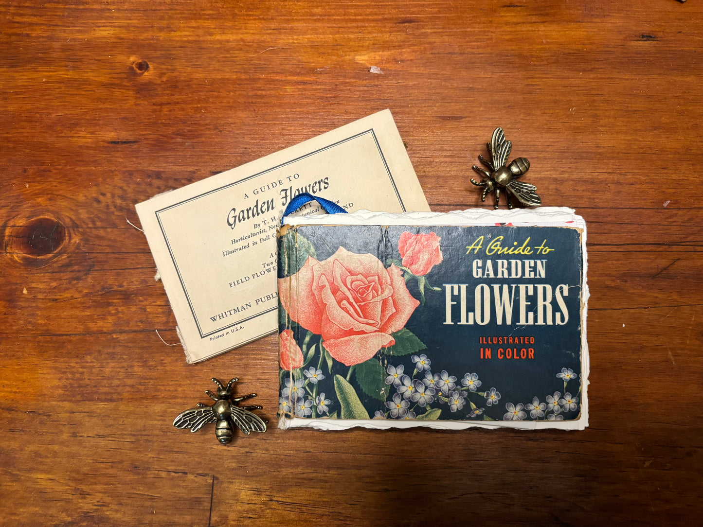 A Guide to Garden Flowers