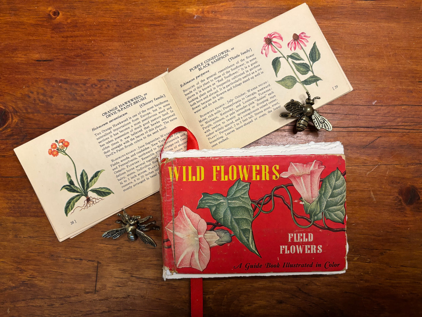 A Guide to Wild Flowers -Field Flowers