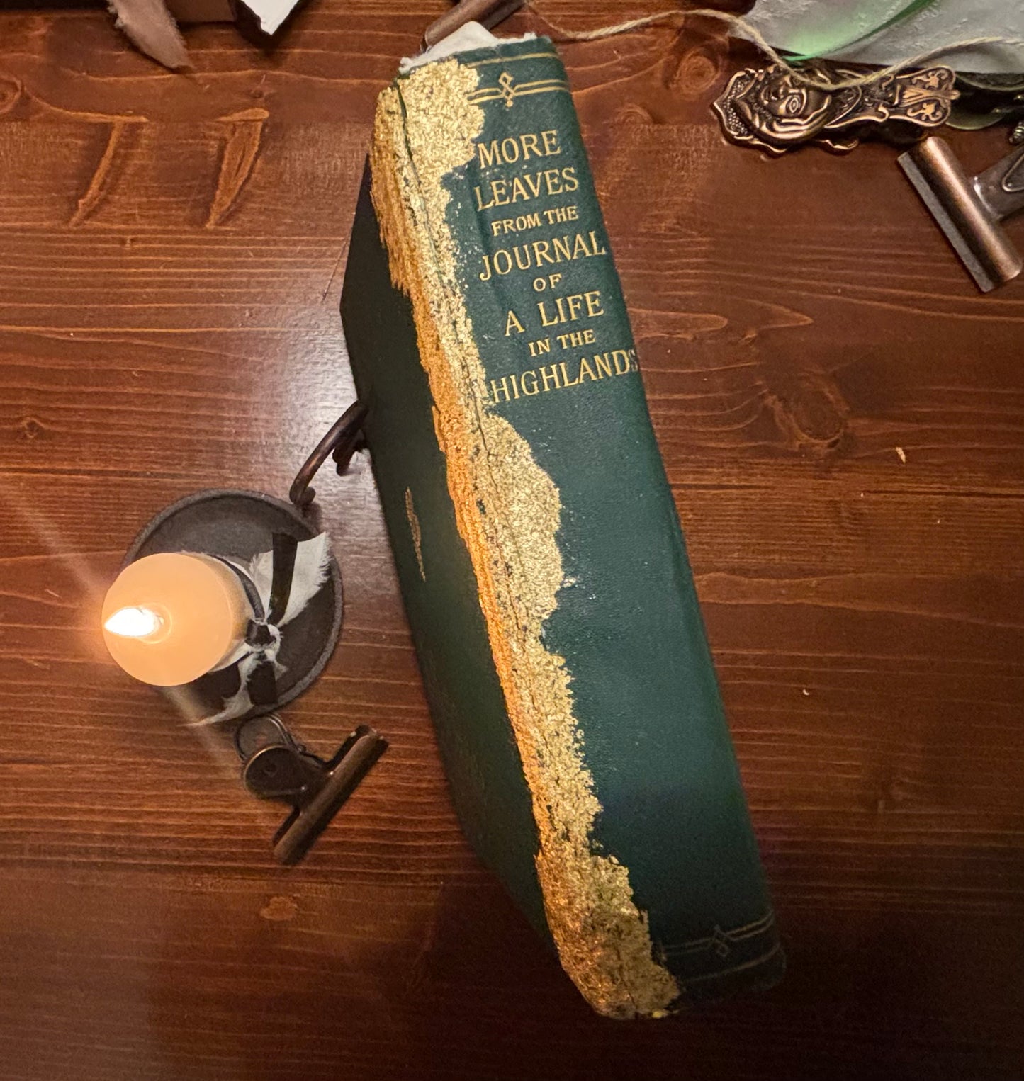 More Leaves from the Journal of a Life in the Highlands