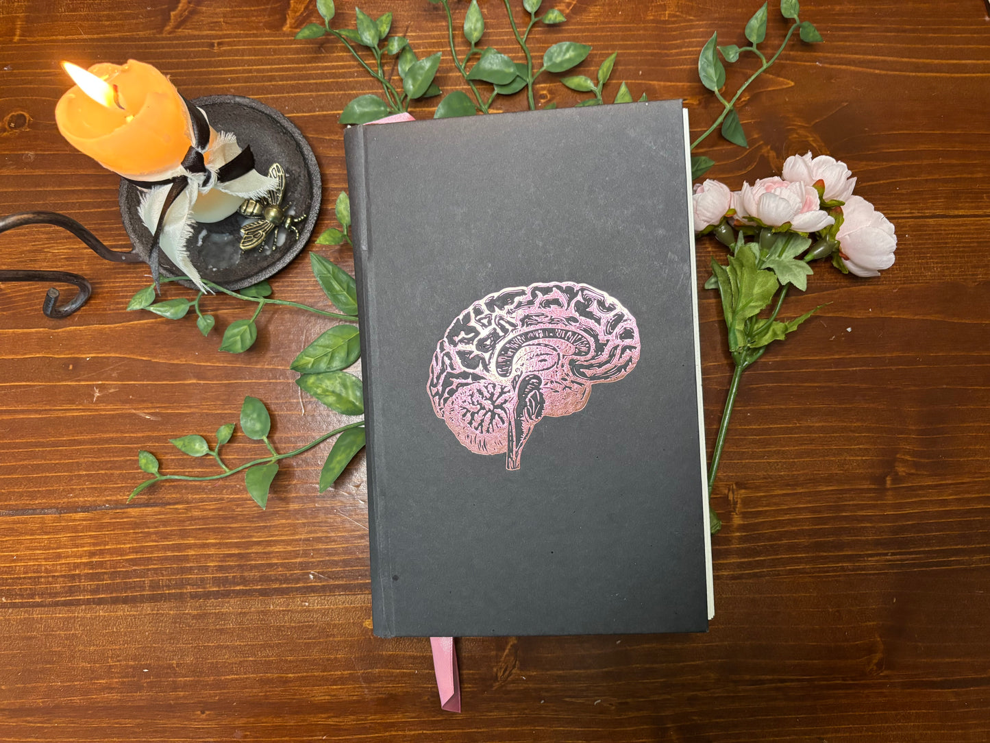 Immortality -A Love Story- Dana Schwartz