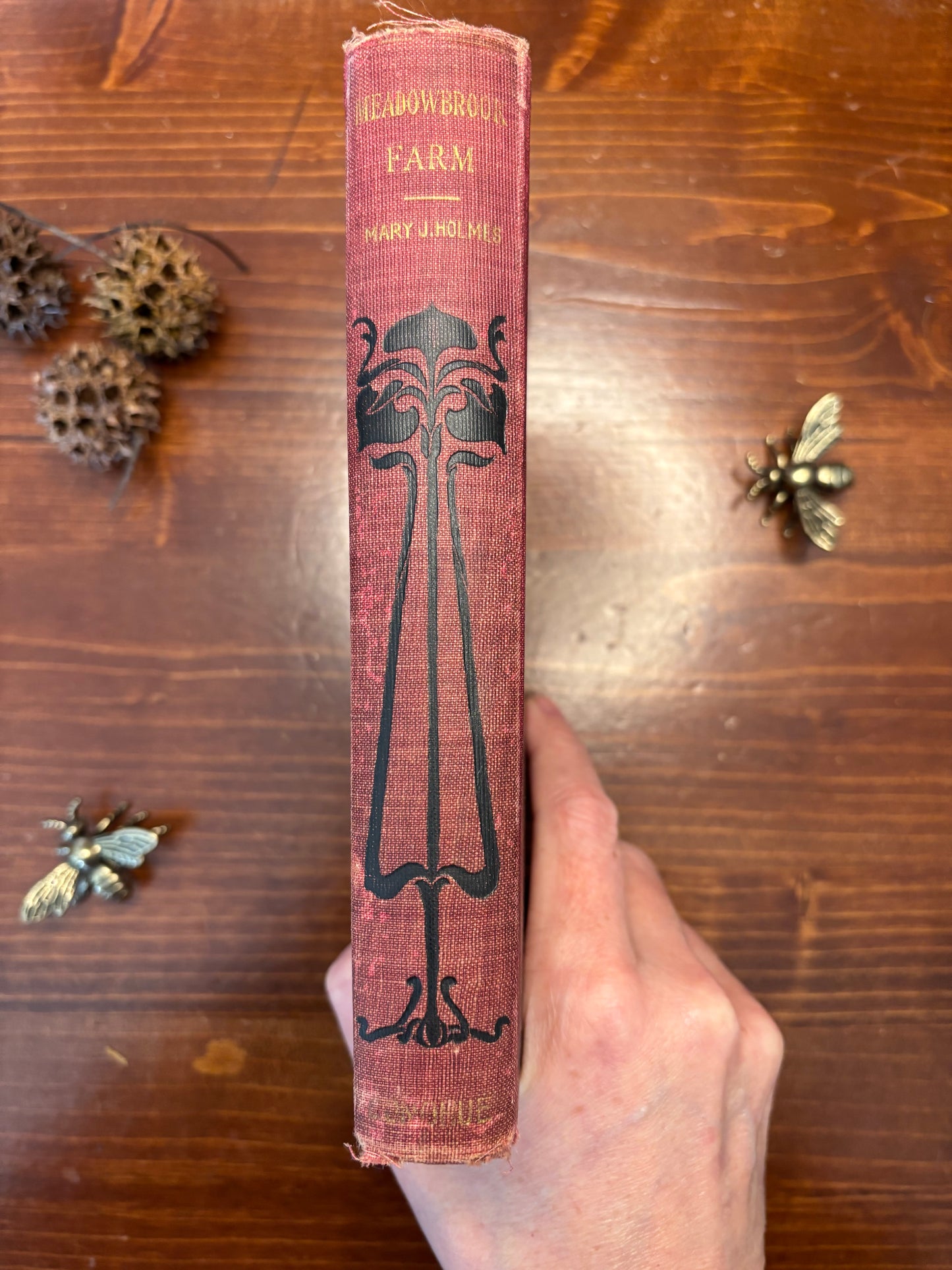 Meadowbrook -Mrs. Mary J Holmes- Circa 1857