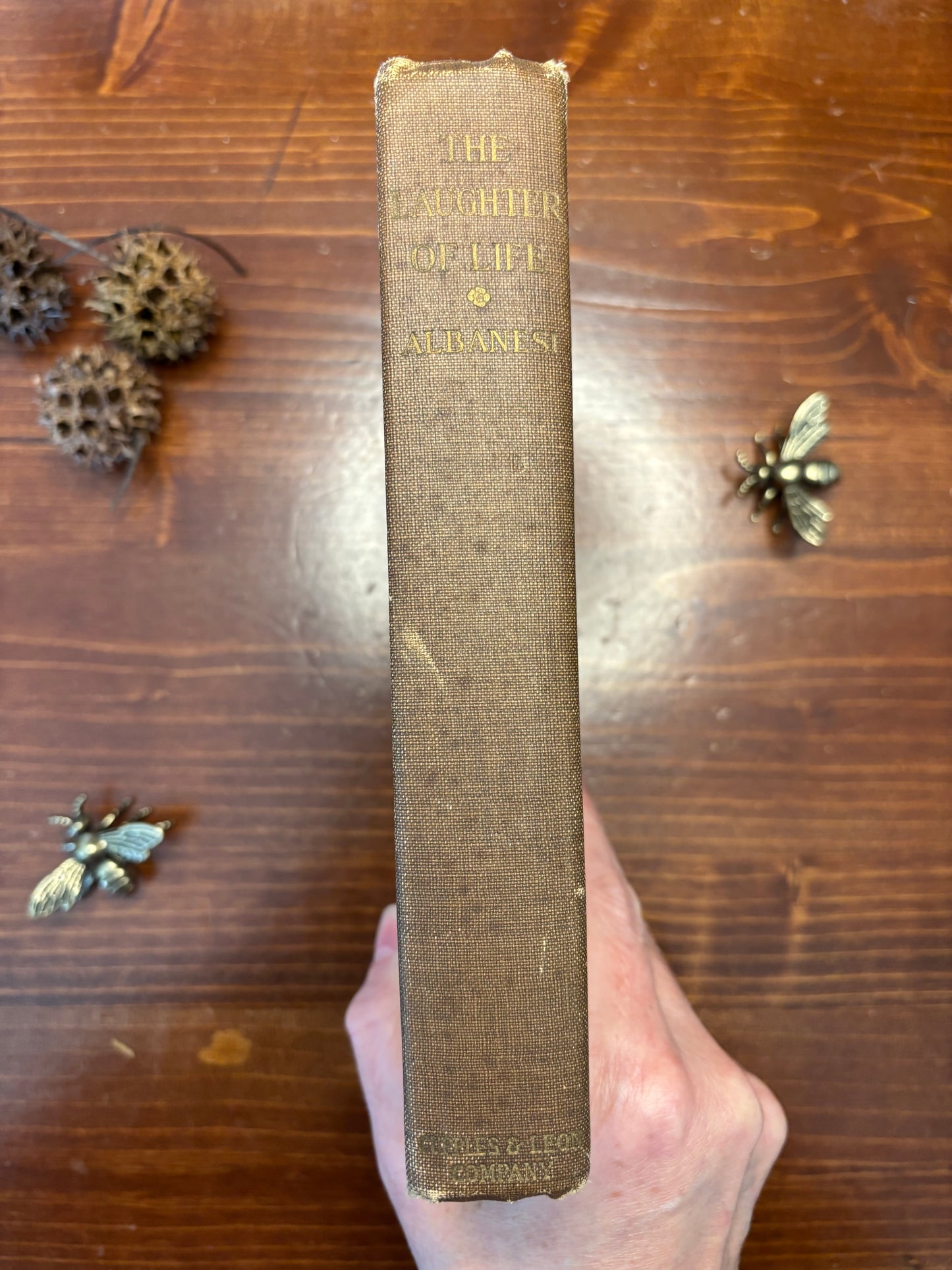 The Laughter of Life -Marie Albanesi- Circa 1908