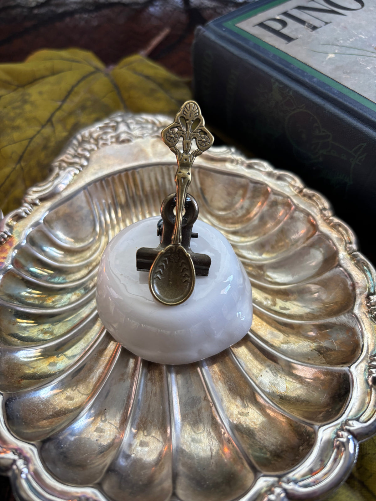 The Curious Spoon Bulldog Clip