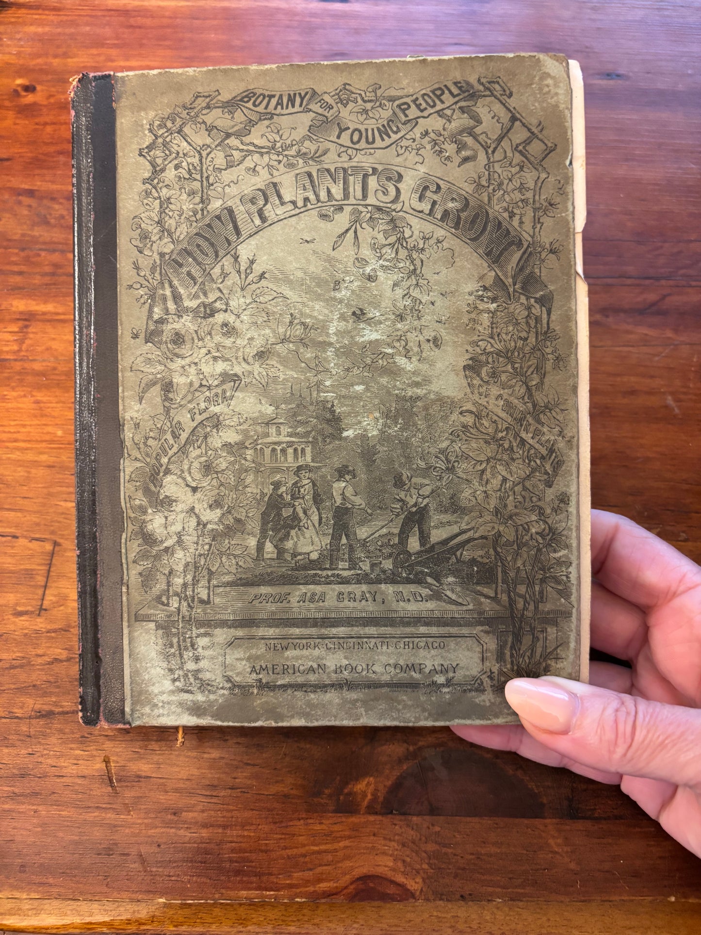 How Plants Grow by Prof. ASA Gray, M.D. c.1858