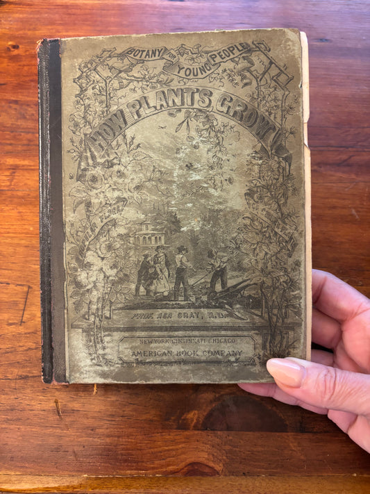 How Plants Grow by Prof. ASA Gray, M.D. c.1858