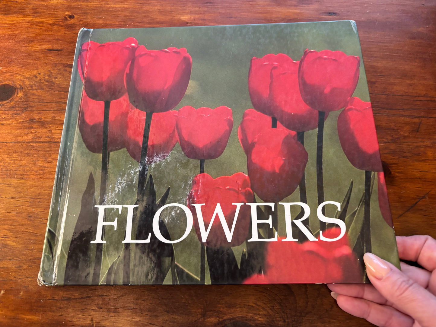 Flowers by Ivan Anatta