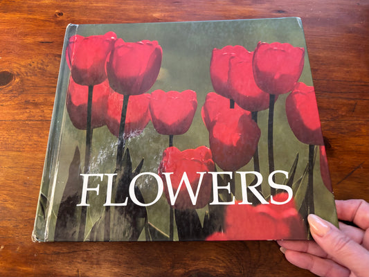 Flowers by Ivan Anatta