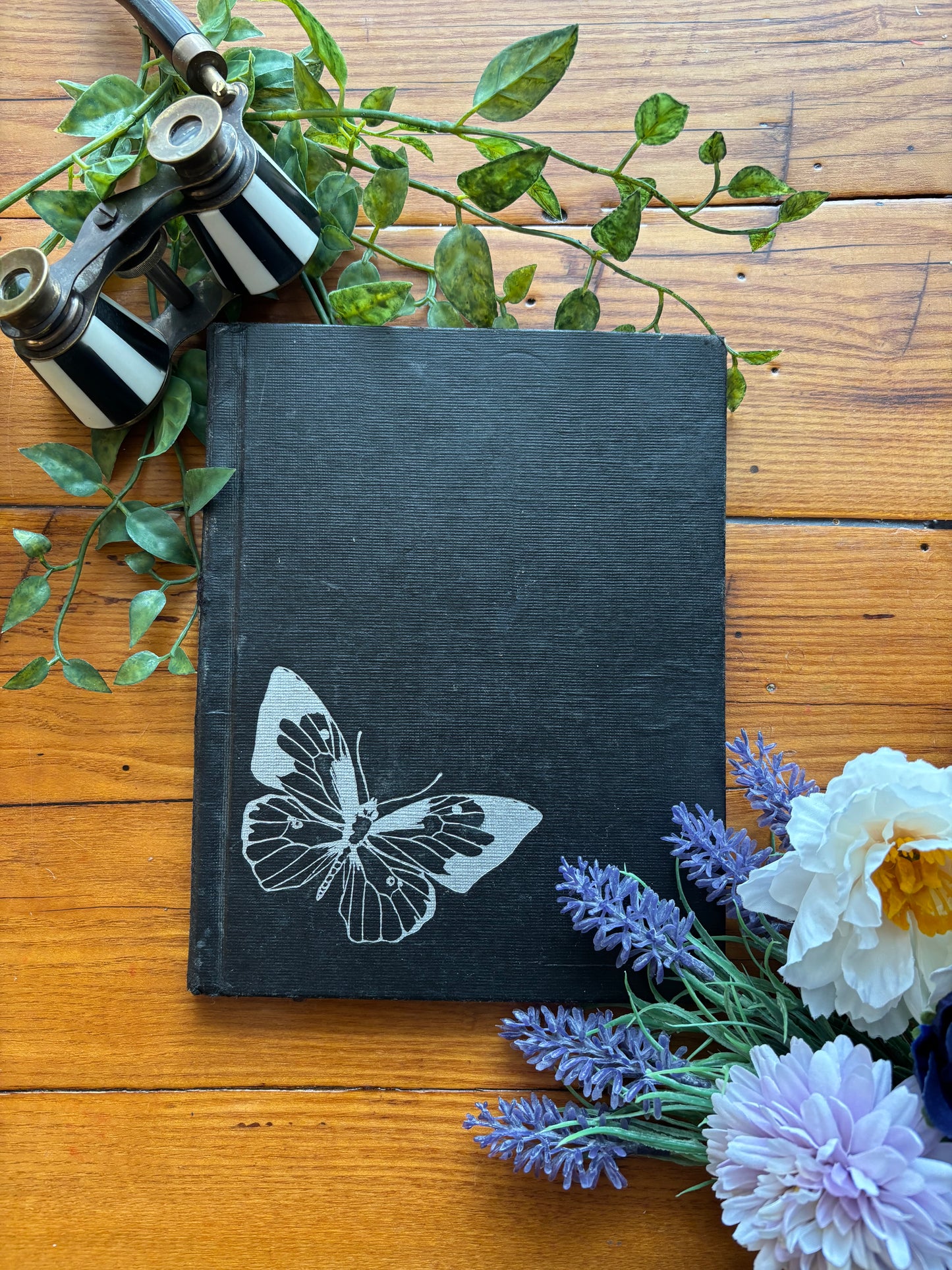 Butterflies By Jean Brouillette