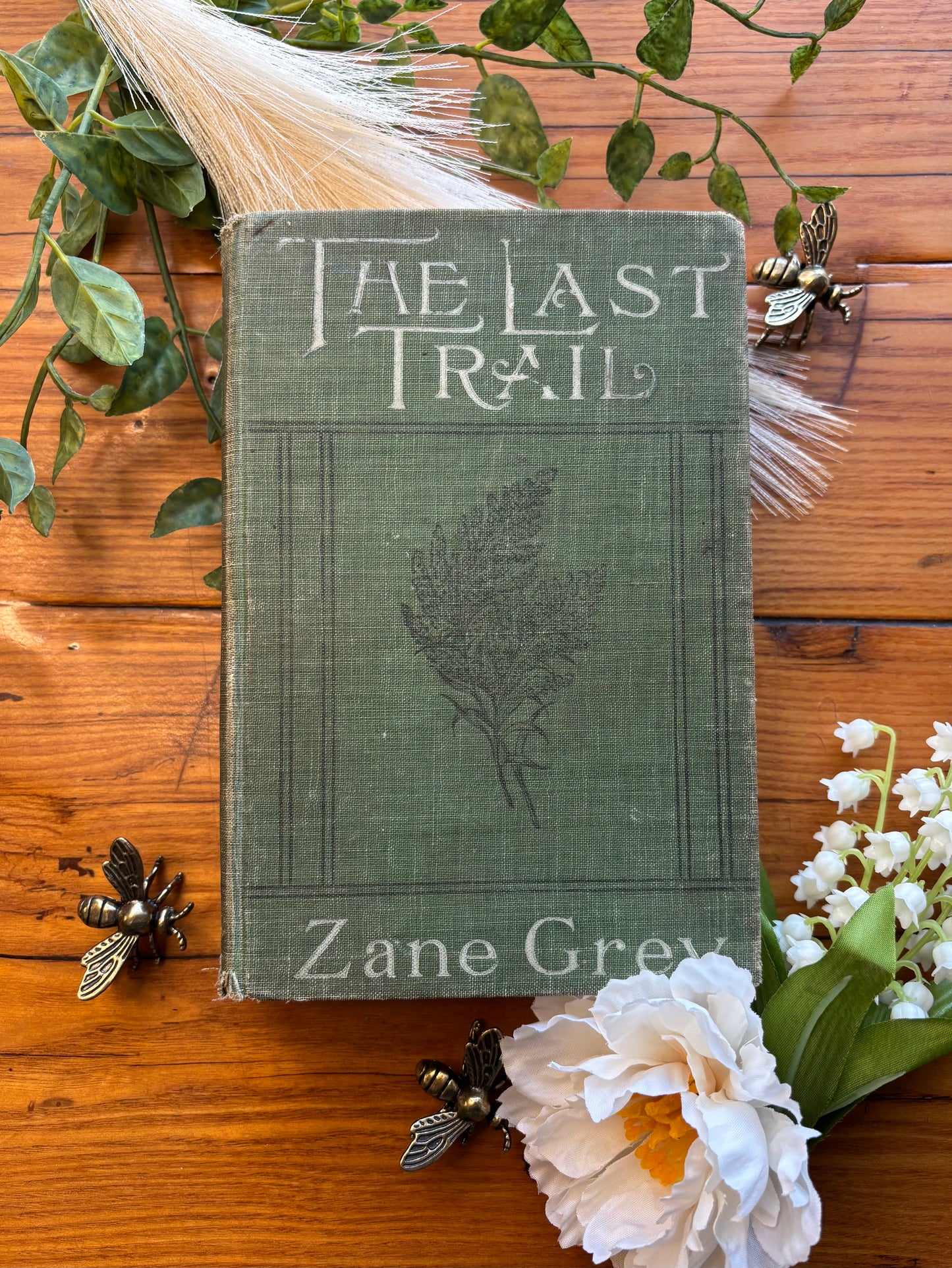 The Last Trail by Zane Grey