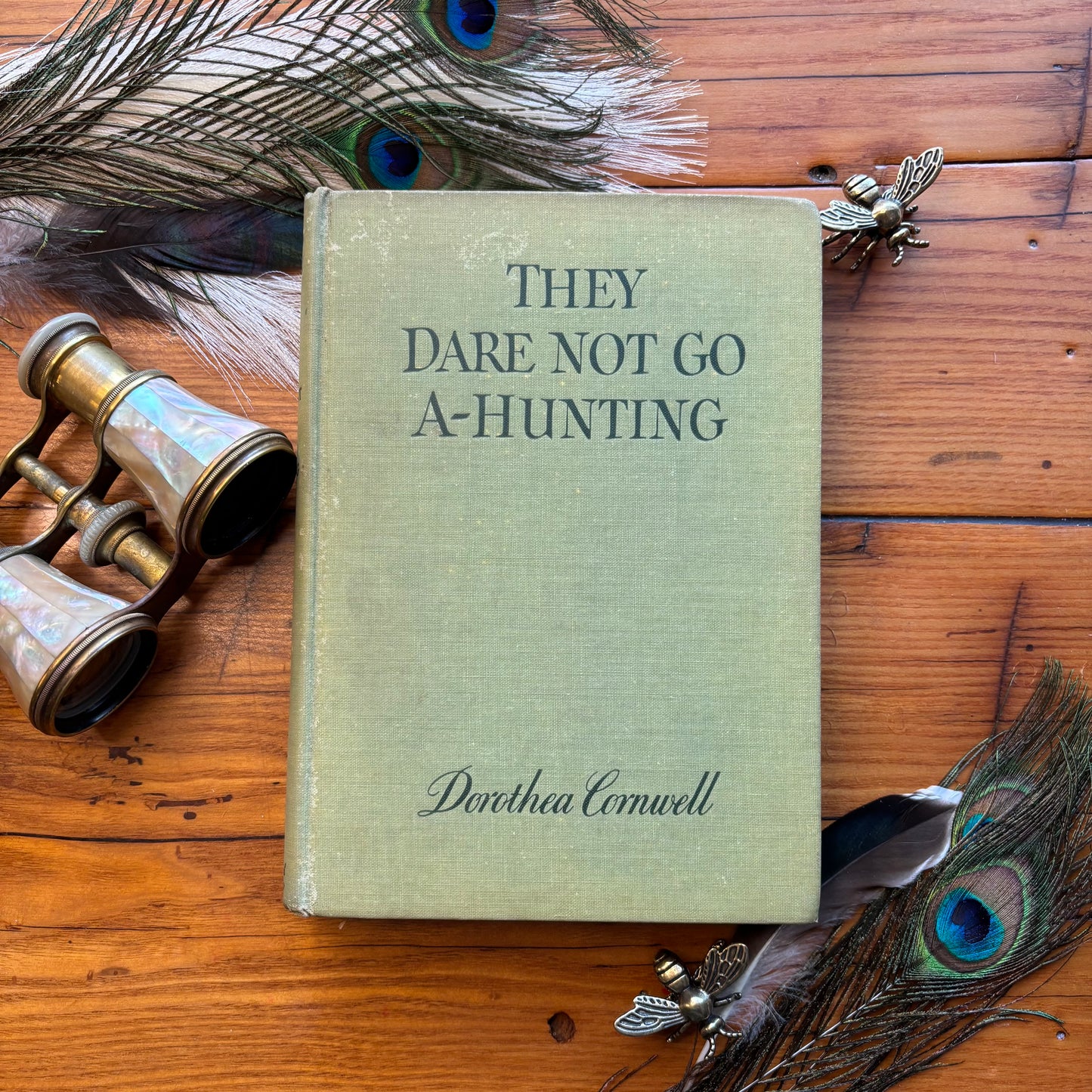 They Dare Not Go A-Hunting by Dorothea Cornwell