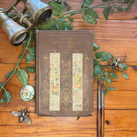 Nature, Addresses, and Lectures