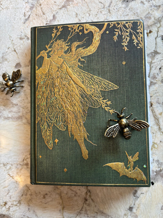 Fairy Journal