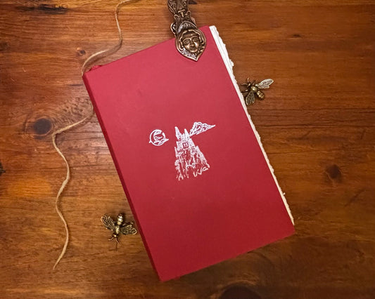 The Shadow Between Us -Levenseller