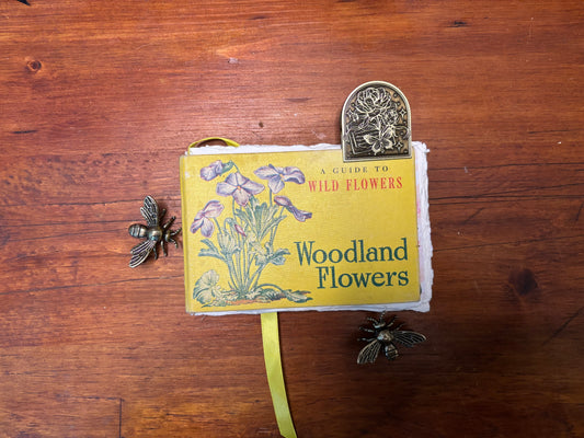 A Guide to Wildflowers -Woodland Flowers