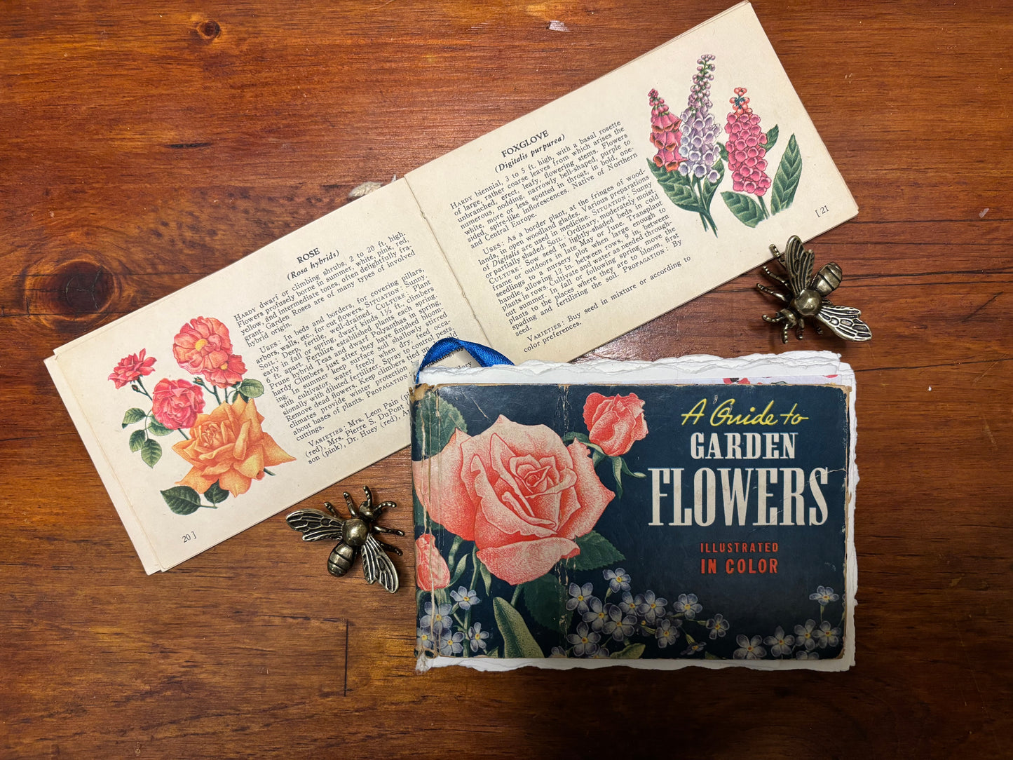 A Guide to Garden Flowers