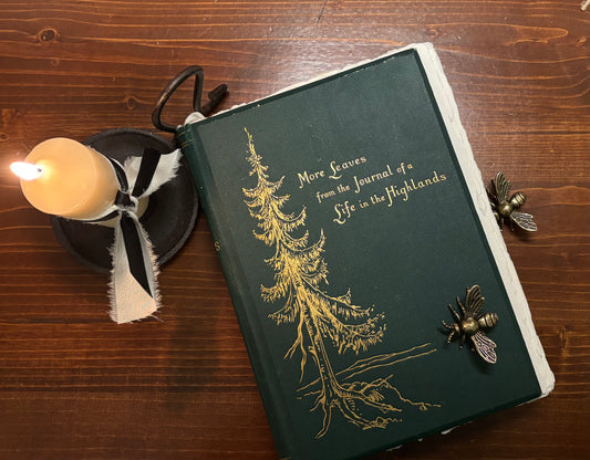 More Leaves from the Journal of a Life in the Highlands