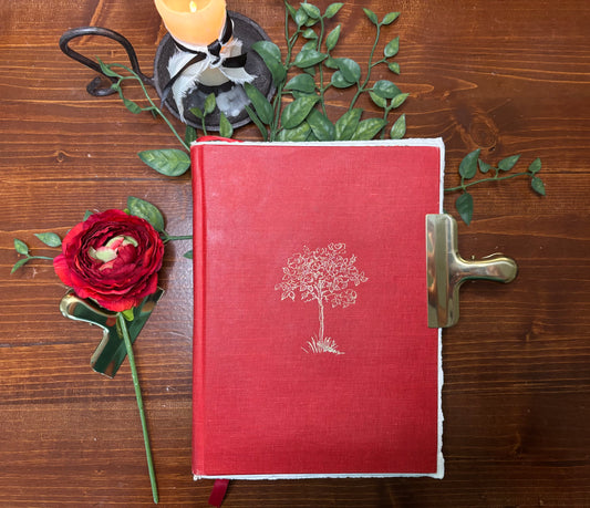 The Secret Garden -Burnett