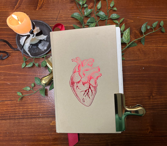 Anatomy -A Love Story -Dana Schwartz